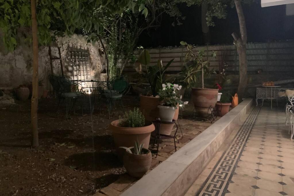 Quiet And Central Flat With Private Backyard Garden Афины Экстерьер фото